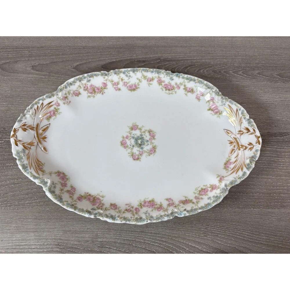 Haviland Limoges France Pink Rose Gold Leaf Oval Serving Platter Gimbel Bros